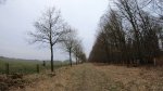 Wand.Hoelbeeka-11.2Km 02-03-18-35